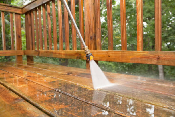 Best Solar Panel Cleaning  in Neodesha, KS